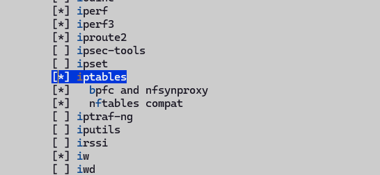 iptables-rootfs配置