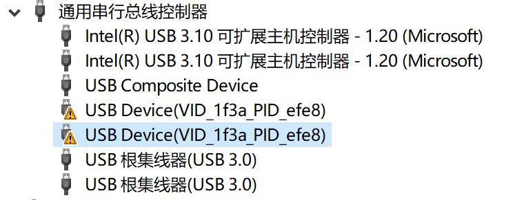 两个 USB 设备